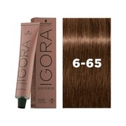 IGORA COLOR10 6-65 Dark Blonde Chocolate Gold