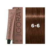 IGORA COLOR10 6-6 Dark Blonde Chocolate