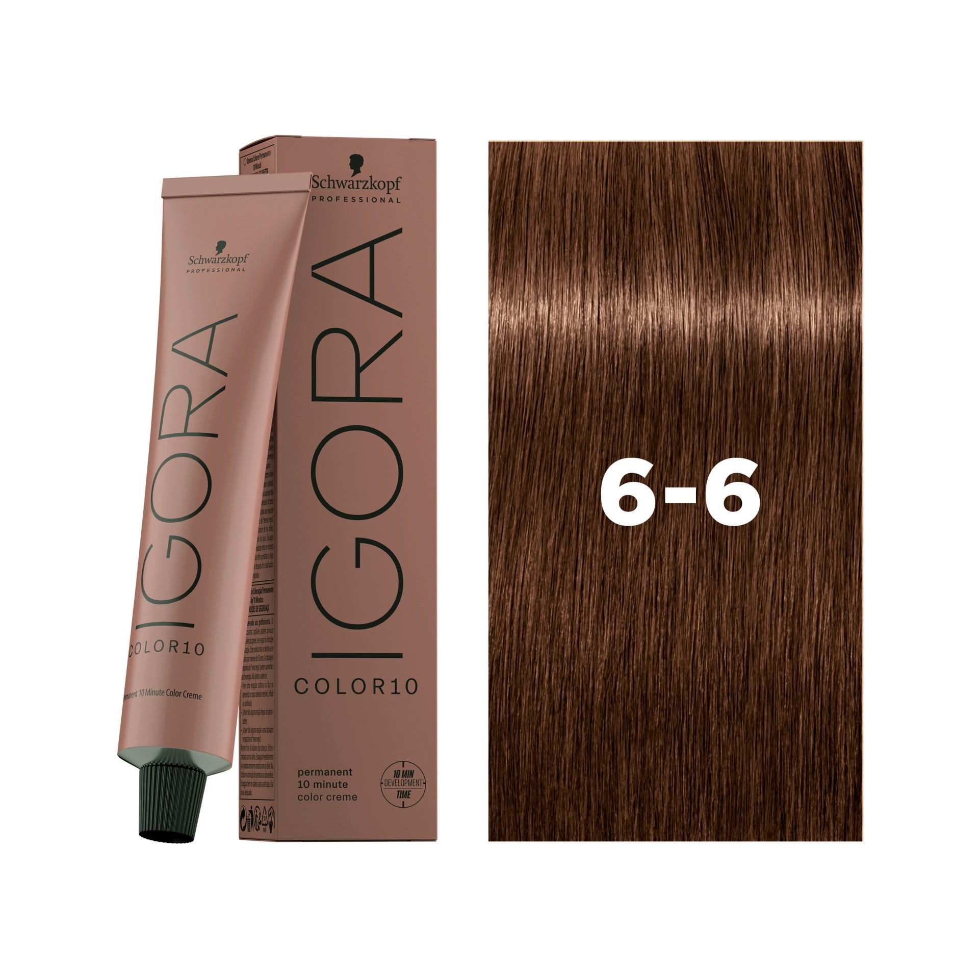 IGORA COLOR10 6-6 Dark Blonde Chocolate