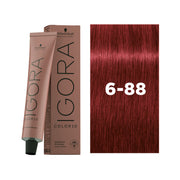 IGORA COLOR10 6-88 Dark Blonde Red Extra