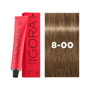 IGORA ROYAL Permanent Hair Color 8-00 Light Blonde Natural