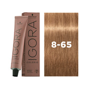 IGORA COLOR10 8-65 Light Blonde Chocolate Gold