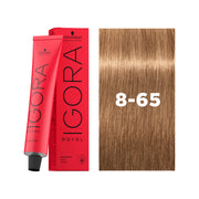 IGORA ROYAL Permanent Hair Color 8-65 Light Blonde Chocolate Gold