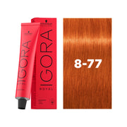 IGORA ROYAL Permanent Hair Color 8-77 Light Blonde Copper Extra