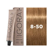 IGORA ROYAL ABSOLUTES Permanent Hair Color 8-50 Medium Blonde Gold Natural