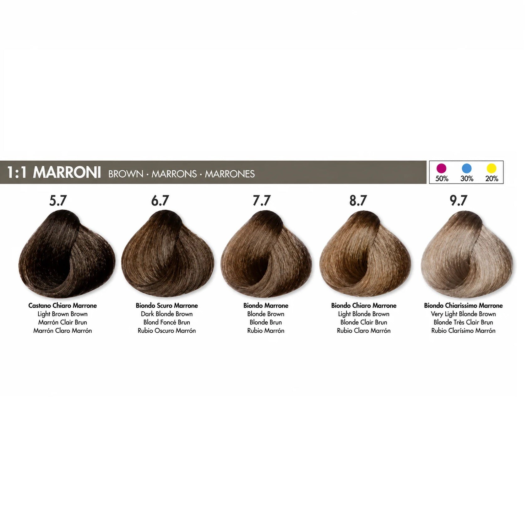 DIKSON COLOR Brown 8.7 Light Blonde Brown