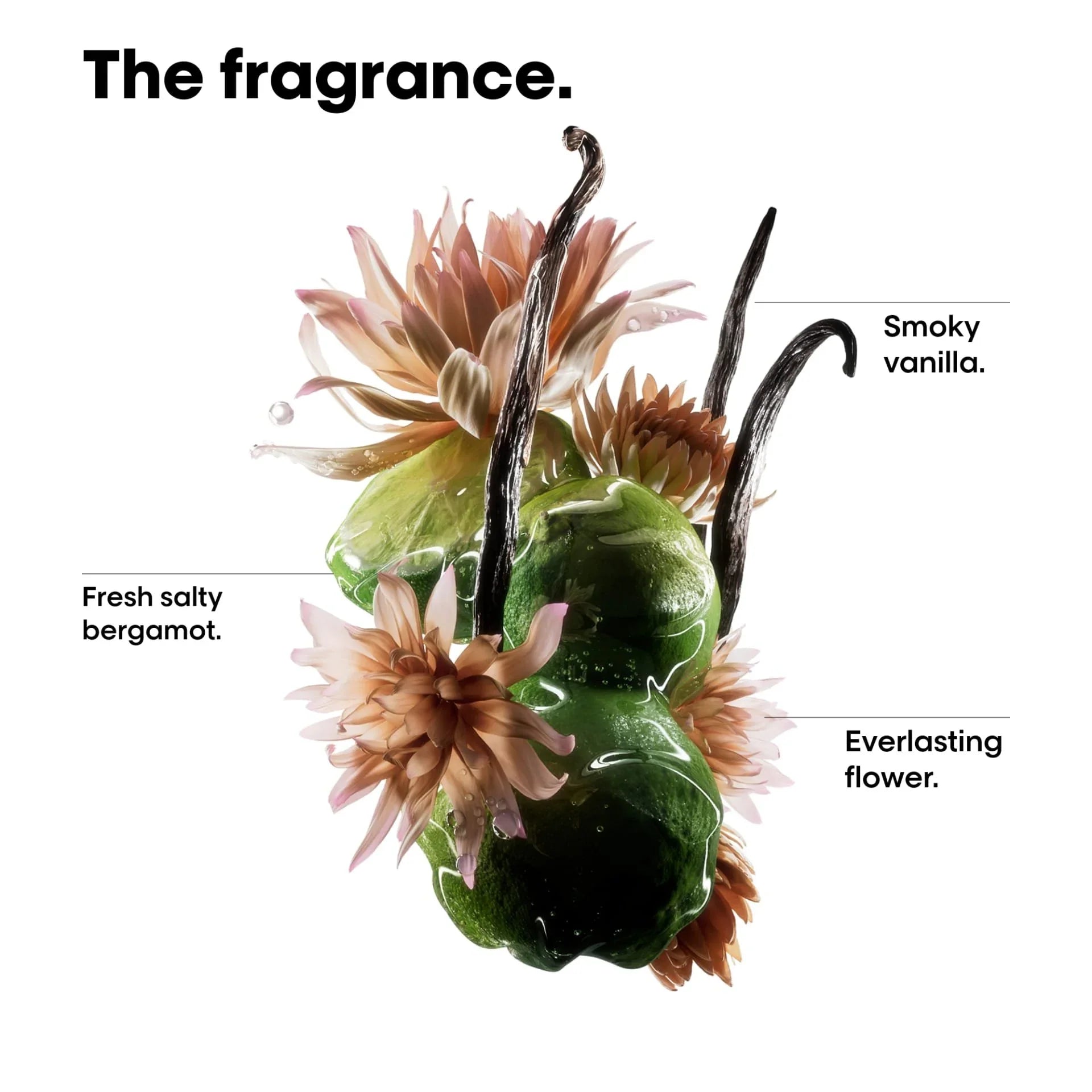 L'ORÉAL Absolut Repair Molecular Oil