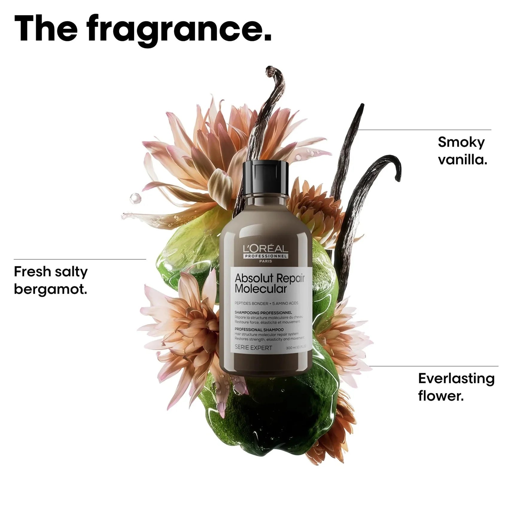 L'ORÉAL Absolut Repair Molecular Shampoo