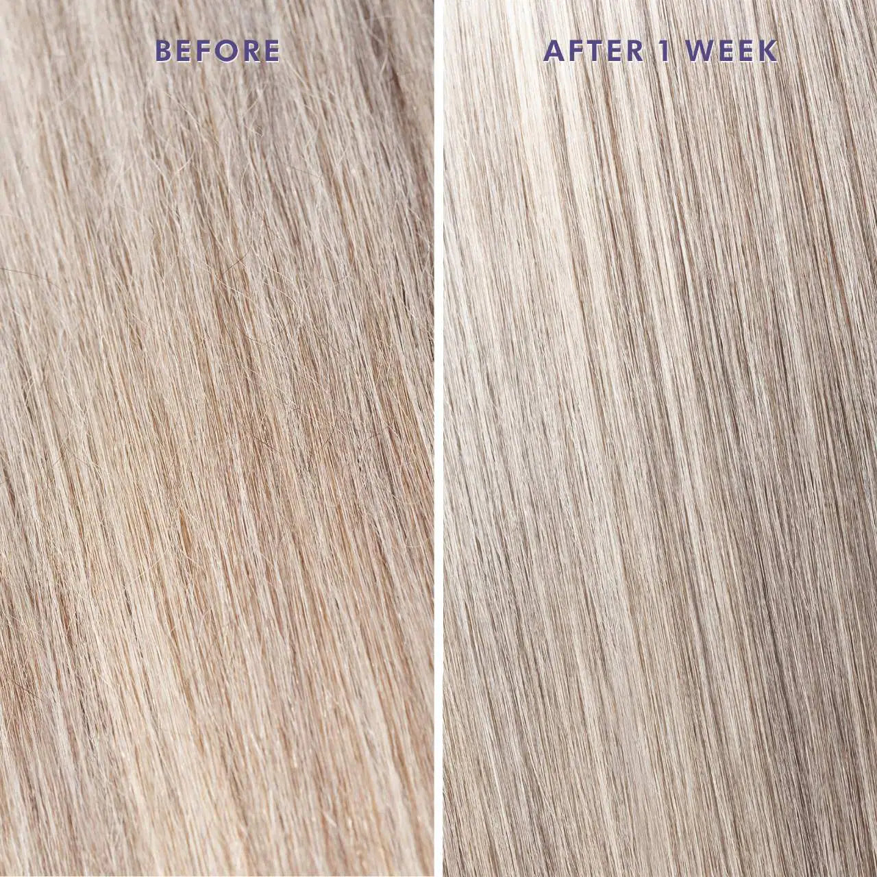 MOROCCANOIL Treatment Oil Purple