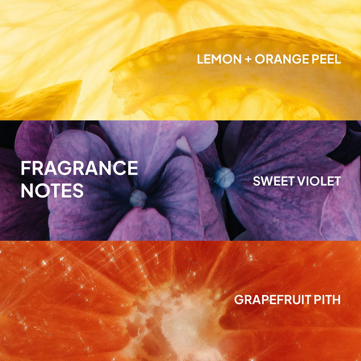 VERB Ghost Conditioner